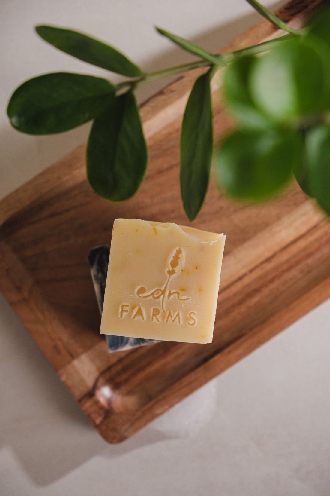 SUNFLOWER CITRUS Handcrafted Shea Soap