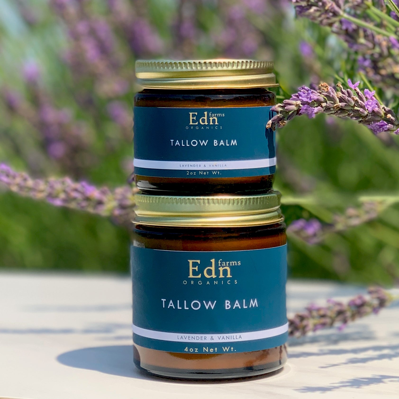 TALLOW BALM - Lavender