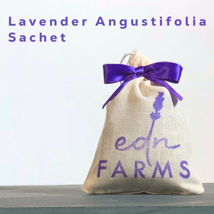 Lavender Sachet -3 Pack