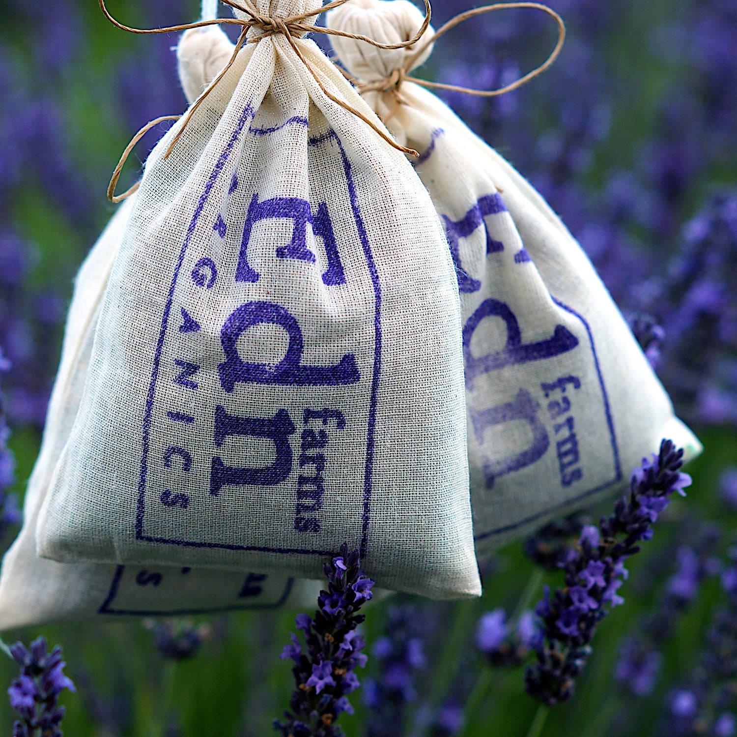 LAVENDER SACHETS -3 Pack